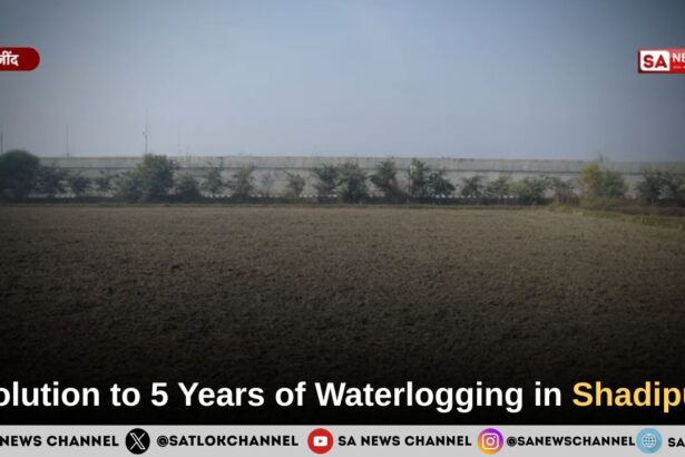 Greenery Returns to Shadipur Through the Initiative of Sant Rampal Ji Maharaj