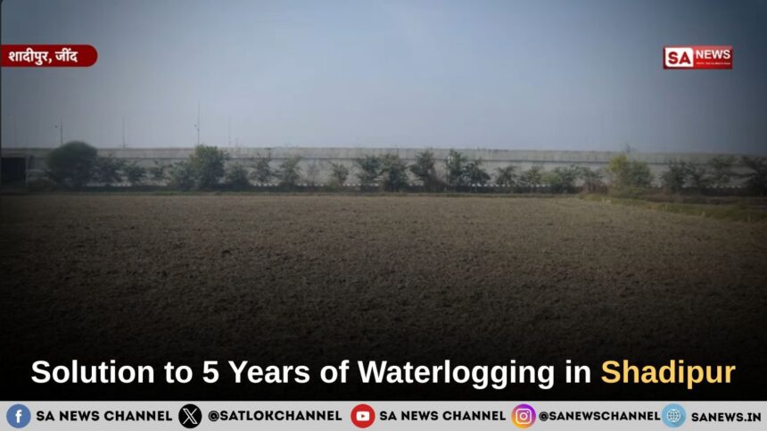 Greenery Returns to Shadipur Through the Initiative of Sant Rampal Ji Maharaj