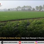 From Waterlogged Fields to Green Farms: How Sant Rampal Ji Maharaj Revived Khedka Gurjar
