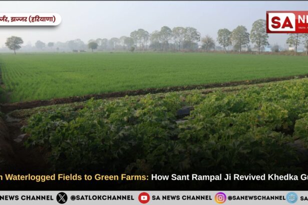 From Waterlogged Fields to Green Farms: How Sant Rampal Ji Maharaj Revived Khedka Gurjar