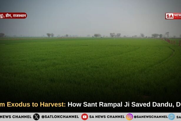 From Exodus to Harvest: How Sant Rampal Ji Maharaj Saved Dandu, Deeg