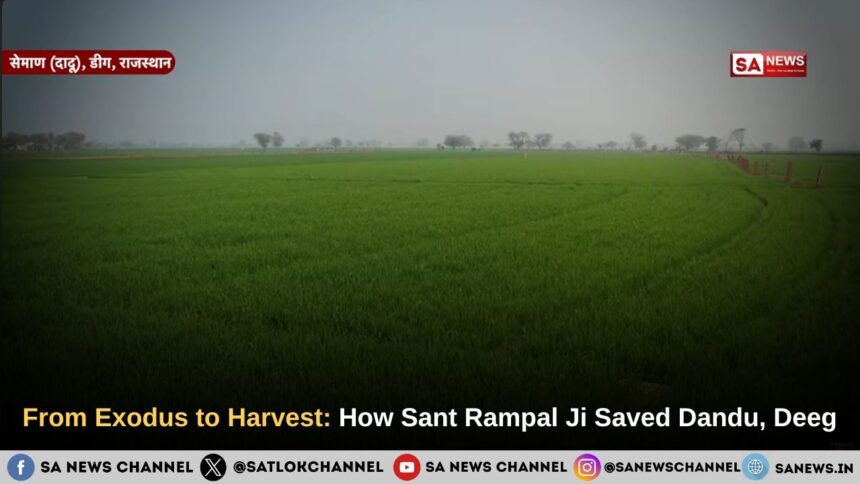 From Exodus to Harvest: How Sant Rampal Ji Maharaj Saved Dandu, Deeg