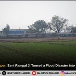 ​The Rebirth of Alipur: A Miracle of Faith in the Drowning Fields of Hisar