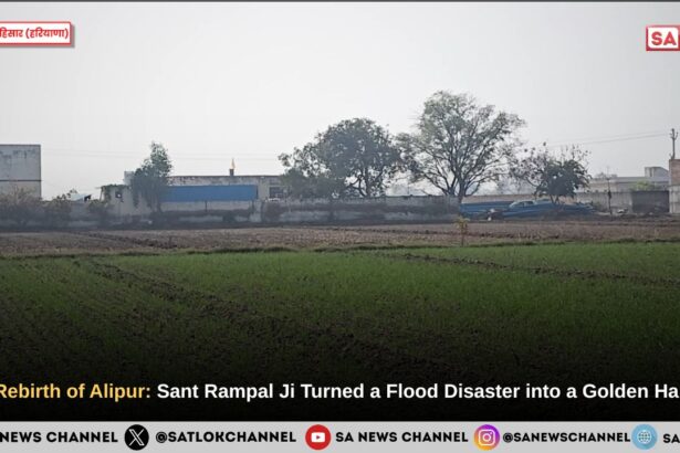 ​The Rebirth of Alipur: A Miracle of Faith in the Drowning Fields of Hisar