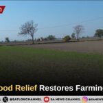 Kuleri Flood Relief Restores Farming in Hisar