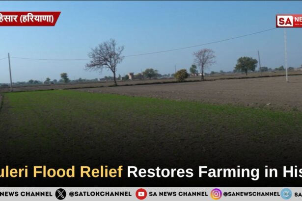 Kuleri Flood Relief Restores Farming in Hisar