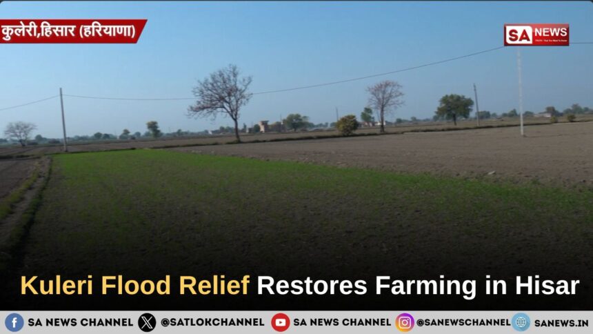 Kuleri Flood Relief Restores Farming in Hisar