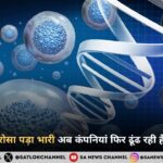 AI पर अंधा भरोसा पड़ा भारी
