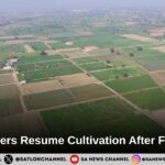 Gadli Flood Relief: Farmers Resume Wheat Cultivation in Fatehabad After Months of Waterlogging