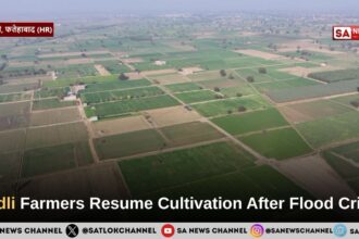 Gadli Flood Relief: Farmers Resume Wheat Cultivation in Fatehabad After Months of Waterlogging