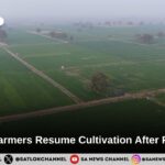 Dhanderi Farmers Resume Cultivation After Flood Relief