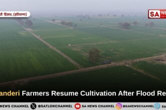 Dhanderi Farmers Resume Cultivation After Flood Relief