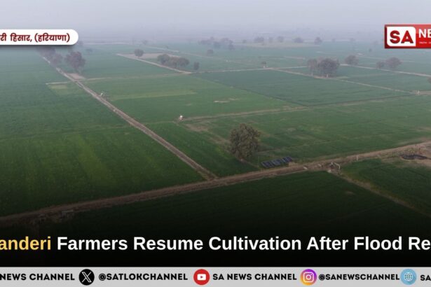 Dhanderi Farmers Resume Cultivation After Flood Relief