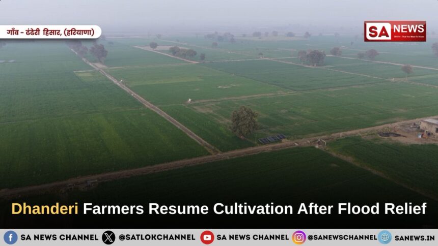 Dhanderi Farmers Resume Cultivation After Flood Relief