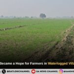 Hope for Farmers in Bhaini Chandrapal, Kohli, Badesra, and Ramayan Villages of Haryana