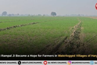 Hope for Farmers in Bhaini Chandrapal, Kohli, Badesra, and Ramayan Villages of Haryana