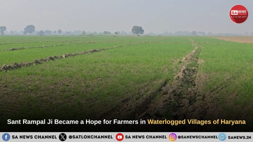 Hope for Farmers in Bhaini Chandrapal, Kohli, Badesra, and Ramayan Villages of Haryana