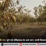 जलवायु परिवर्तन की मार से जूझ रहा मलिहाबाद