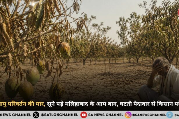 जलवायु परिवर्तन की मार से जूझ रहा मलिहाबाद