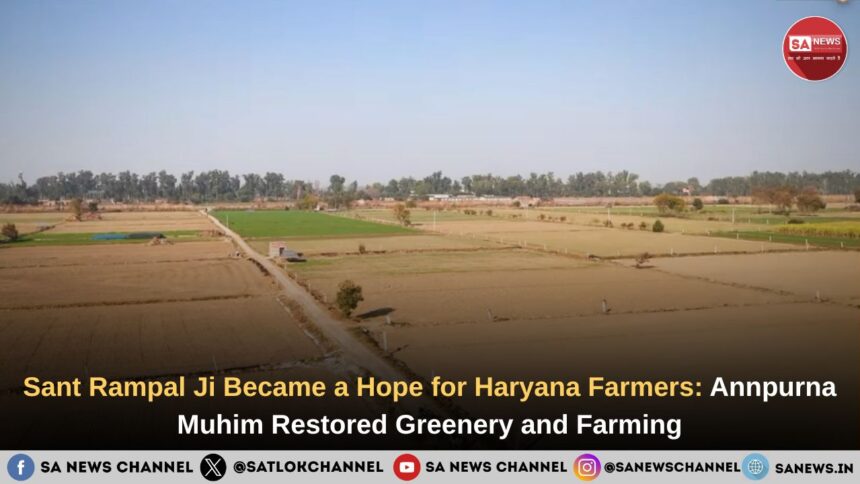 Sant Rampal Ji Became a Hope for Haryana Farmers Annpurna Muhim Restored Greenery and Farming