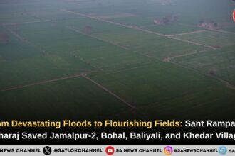 crop-sowing-in-jamalpur-2-bohal-baliyali-and-khedar