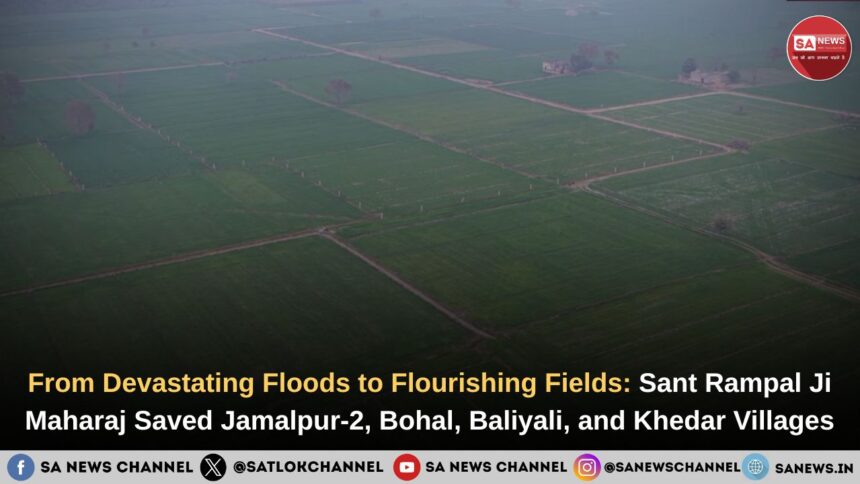 crop-sowing-in-jamalpur-2-bohal-baliyali-and-khedar