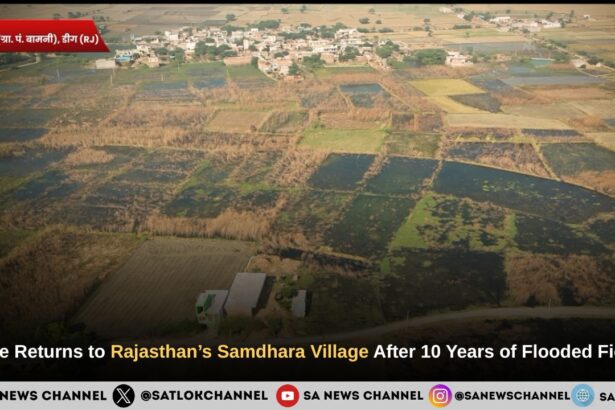 Hope Returns to Rajasthan’s Samdhara Village After 10 Years of Flooded Fields