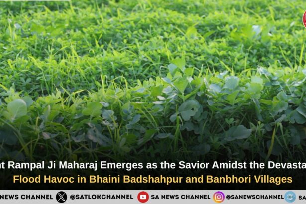Saint Rampal Ji Became the Savior of Two Flood-Affected Bhaini Badshahpur and Banbhori Villages of Hisar