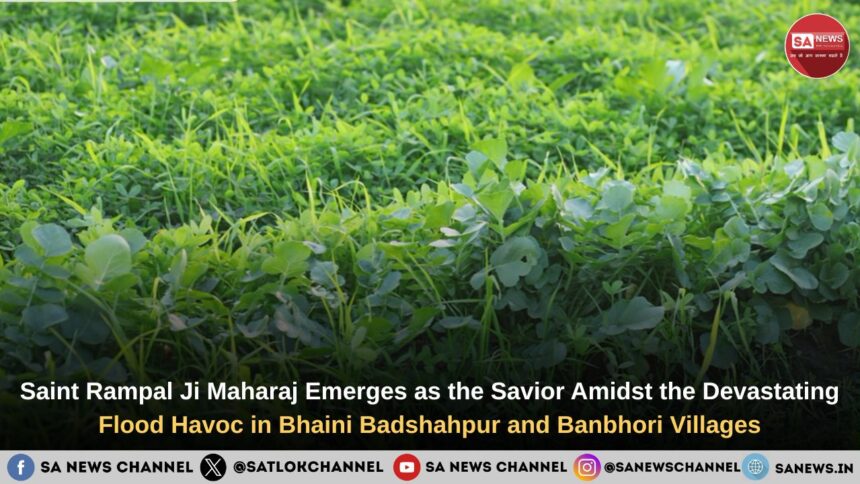 Saint Rampal Ji Became the Savior of Two Flood-Affected Bhaini Badshahpur and Banbhori Villages of Hisar