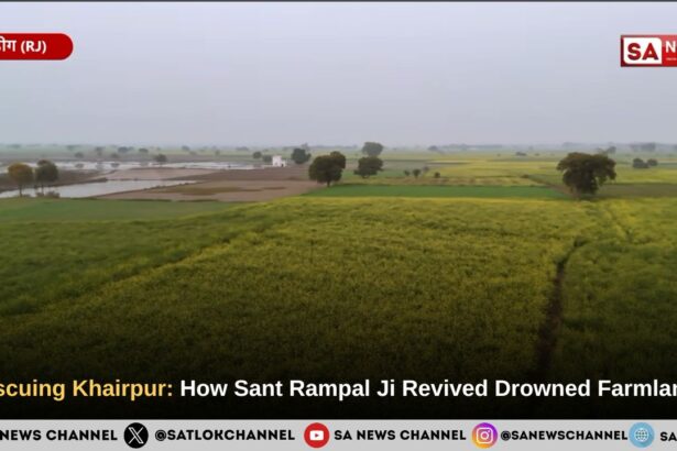 Rescuing Khairpur: How Sant Rampal Ji Maharaj Revived Drowned Farmlands