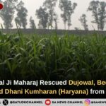 crop-sowing-in-dujowal-bedi-chhanna-dhani-kumharan
