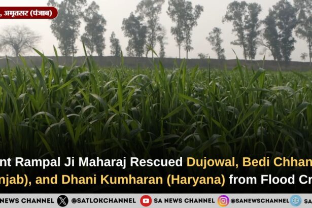 crop-sowing-in-dujowal-bedi-chhanna-dhani-kumharan