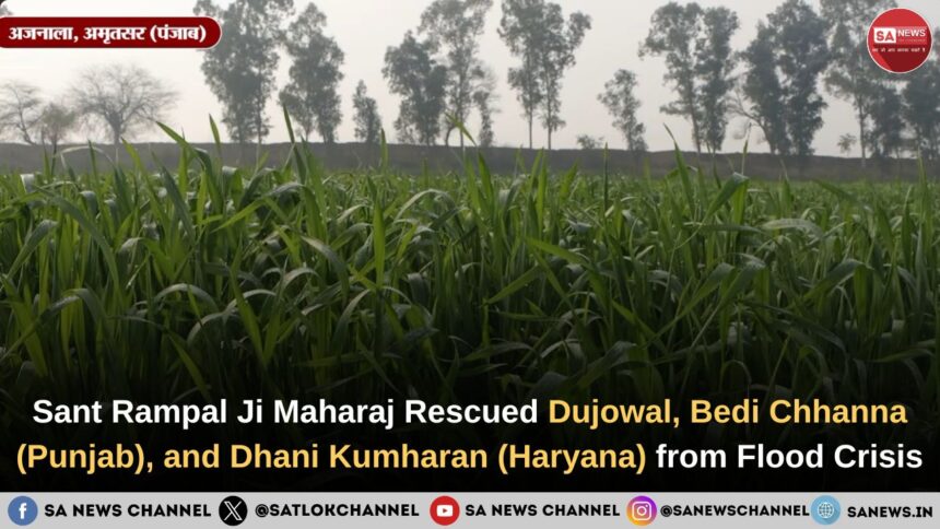crop-sowing-in-dujowal-bedi-chhanna-dhani-kumharan