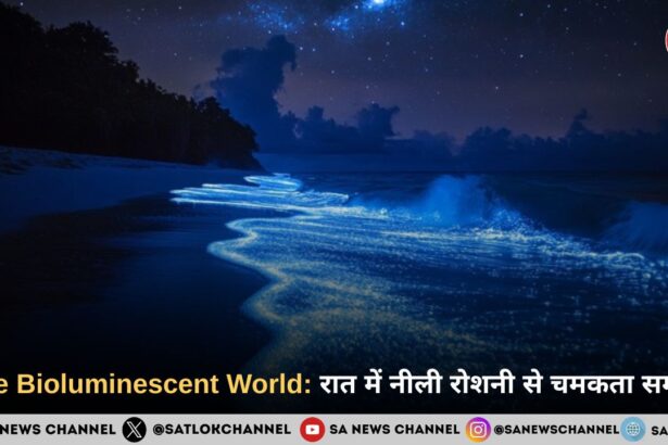 The Bioluminescent World: जब समंदर की लहरें रात के अंधेरे में नीली रोशनी से जगमगा उठती हैं