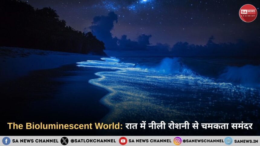 The Bioluminescent World: जब समंदर की लहरें रात के अंधेरे में नीली रोशनी से जगमगा उठती हैं