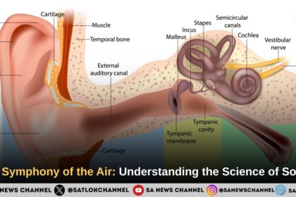 Understanding Sound Waves & Hearing: The Science of Sound