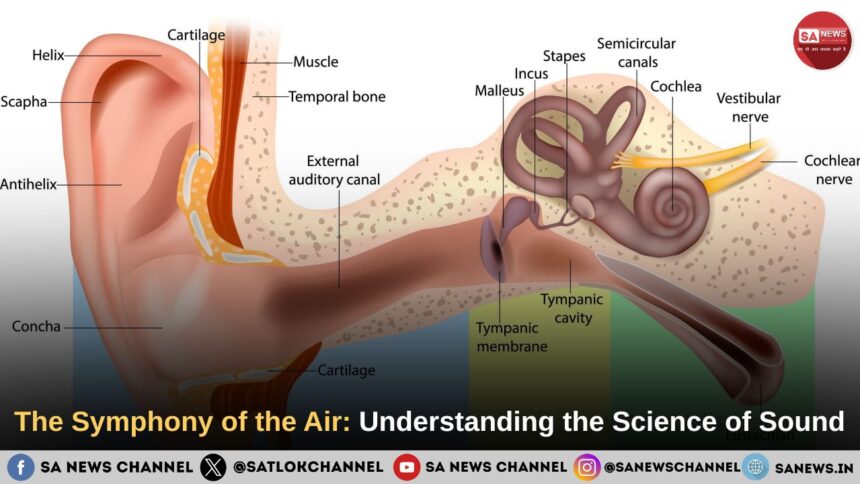 Understanding Sound Waves & Hearing: The Science of Sound