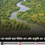 सुंदरबन: दुनिया का सबसे बड़ा मैंग्रोव वन और प्रकृति का अनमोल खजाना