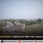 Green Returns to Fields Submerged for Four Years: Farmers in Adampur Smile Again