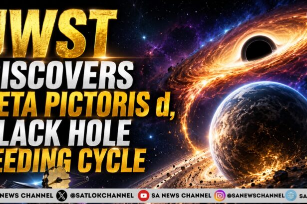 JWST Discovers Beta Pictoris d, Black Hole Feeding Cycle