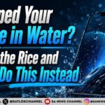 Dropped Your Phone in Water Forget the Rice and Do This Instead