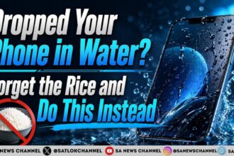 Dropped Your Phone in Water Forget the Rice and Do This Instead