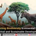 Why protecting Biodiversity is essential for Human Survival and Sustainable Development