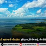 चिल्का झील भारत की सबसे बड़ी खारे पानी की झील इतिहास, विशेषताएँ, जैव विविधता