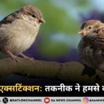 द साइलेंट एक्सटिंक्शन: वे 5 चीज़ें जो हमसे चुपचाप छिन गईं