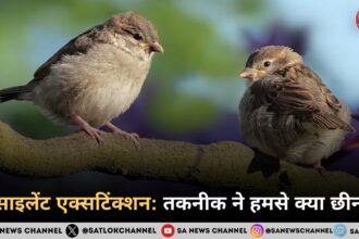 द साइलेंट एक्सटिंक्शन: वे 5 चीज़ें जो हमसे चुपचाप छिन गईं