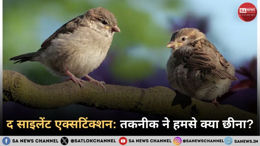 द साइलेंट एक्सटिंक्शन: वे 5 चीज़ें जो हमसे चुपचाप छिन गईं