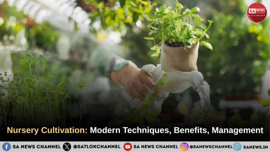 Nursery Cultivation Modern Techniques, Benefits, Management and Sustainable Farming