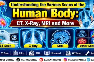 Understanding the Various Scans of the Human Body: CT, X-Ray, MRI and More