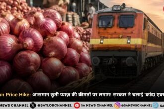 Onion Price Hike